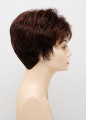 Petite Jacqueline Envy Wigs