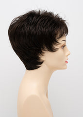 Petite Jacqueline Envy Wigs