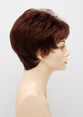 Petite Jacqueline Envy Wigs