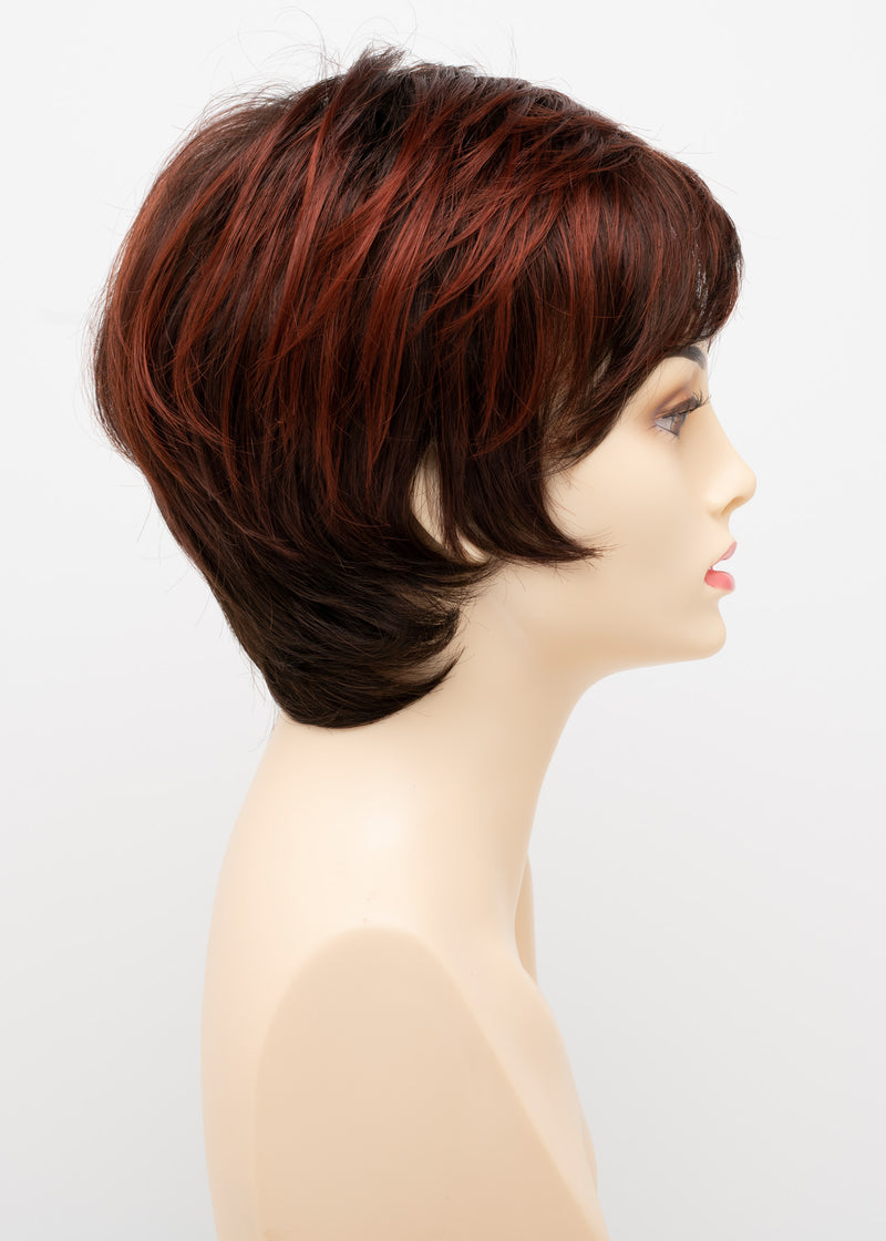 Elle Envy Wigs