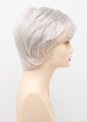 Elle Envy Wigs