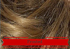 Extendz 16" Human Hair Extensions - Hairware Hairpiece